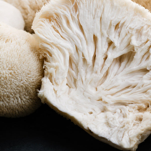 How Lion's Mane Mushroom Gummies Support Cognitive Health - Dr. Moritz