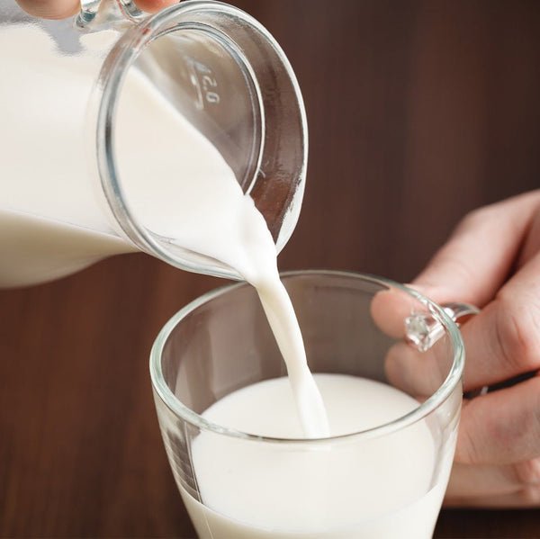 Probiotics for Children and Immunity Support - Dr. Moritz