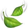 Clean ingredients 