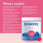 Lion's Mane Gummies - Dr. Moritz