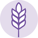 Top 9 Allergen Free