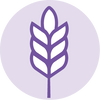Top 9 Allergen Free