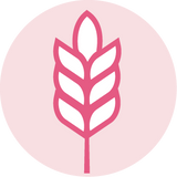 Top 9 Allergen Free