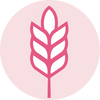 Top 9 Allergen Free
