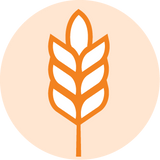 Gluten-Free