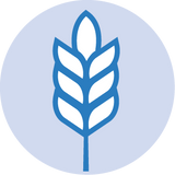 Top 9 Allergen Free